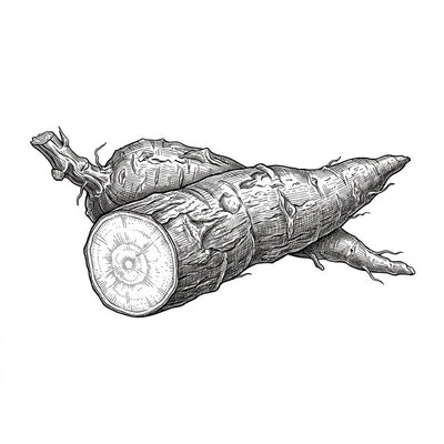 Cassava