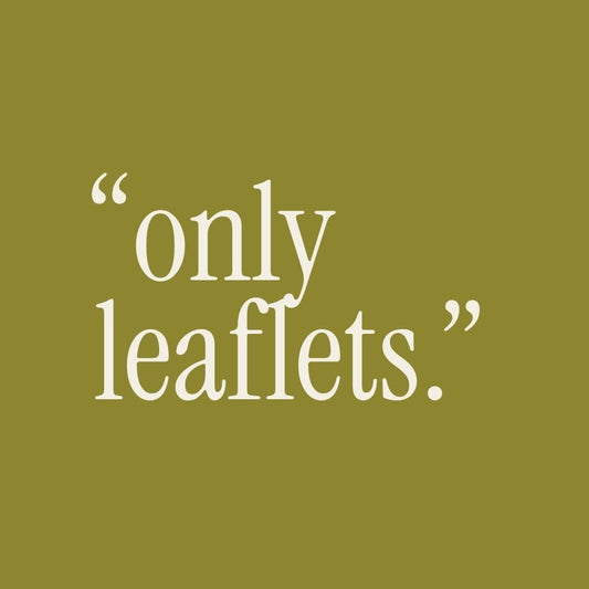 How to Cook and Eat Fresh Moringa Leaves
