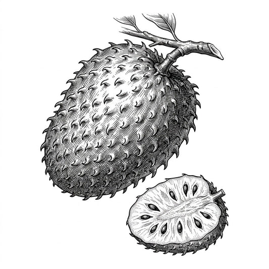 Soursop