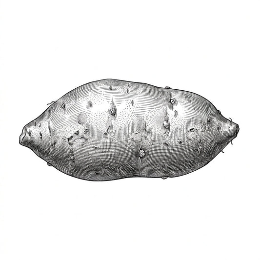 Sweet Potato