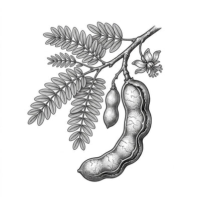 Tamarind