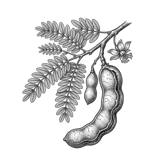 Tamarind