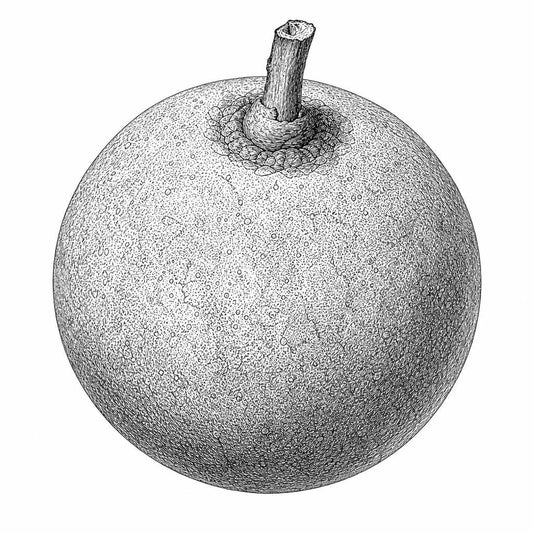 Wood Apple