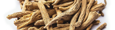 Indian Ginseng (Ashwagandha)